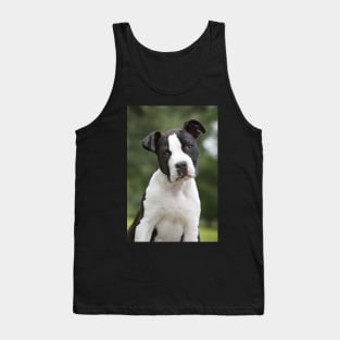 American Staffordshire Terrier Puppy Dog Tank Top